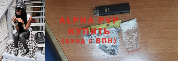 МДПВ Бородино