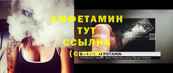 МДПВ Бородино
