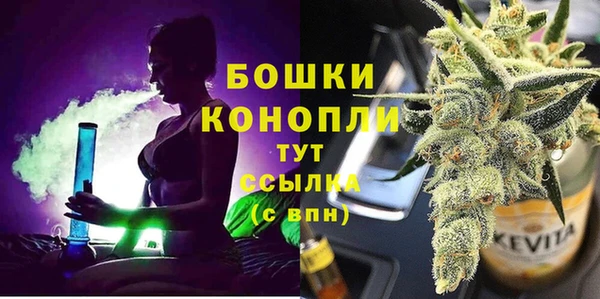 МДПВ Бородино