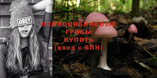 мет Бронницы