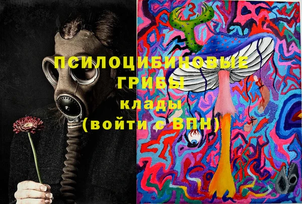 МДПВ Бородино