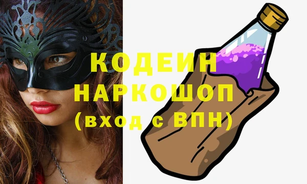 МДПВ Бородино
