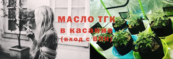 МДПВ Бородино
